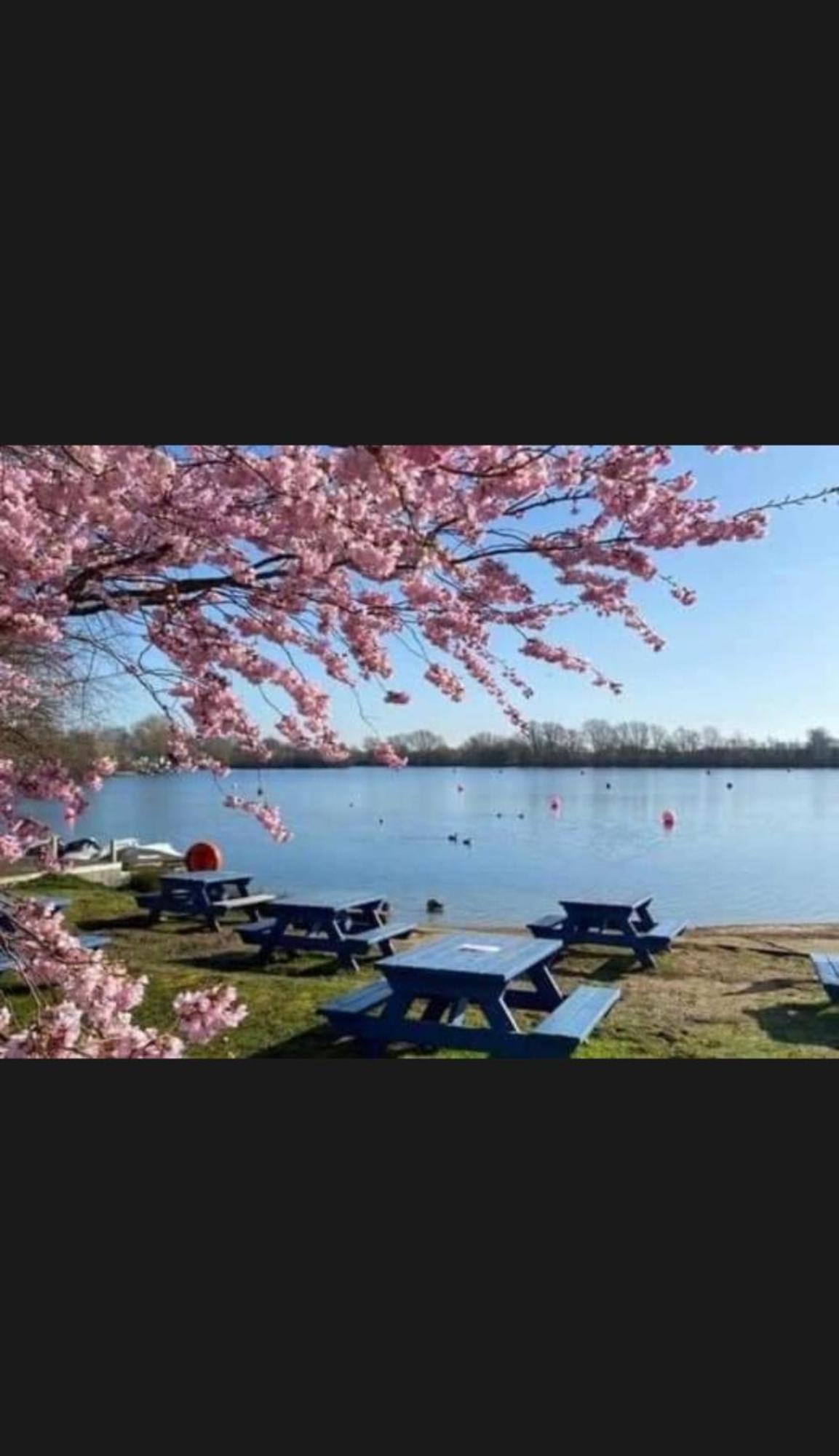 Swan View Retreats # Hottub # Egg Chair # Bbq & Bikes Included 8 Berth 塔特舍尔 外观 照片